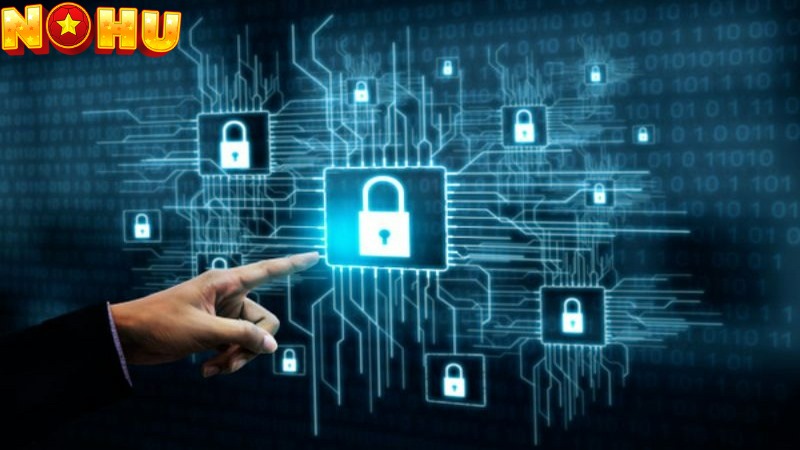 Website thu thập dữ liệu liên quan đến hành vi người dùng