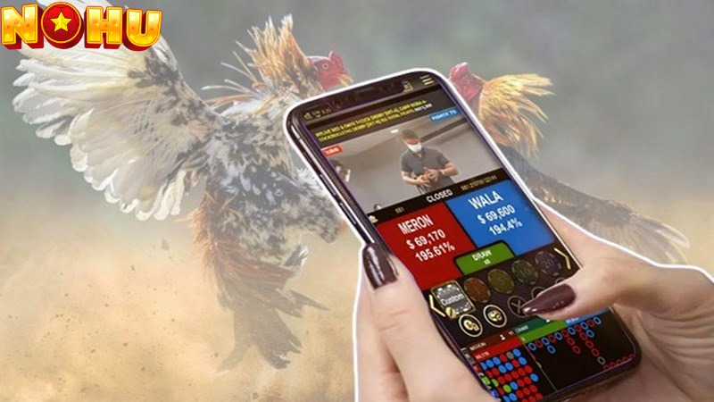 Cần xem xét kỹ cơ hội thắng tránh chọn sai cửa