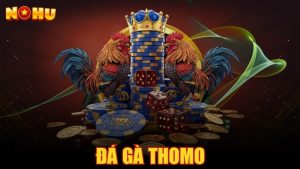 Đá gà Thomo